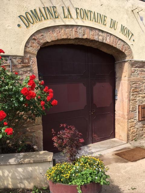 Hotel Domaine La Fontaine Du Mont Chasselas Esterno foto